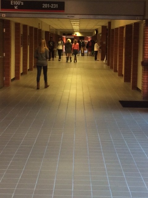 Overpopulation at Eaglecrest