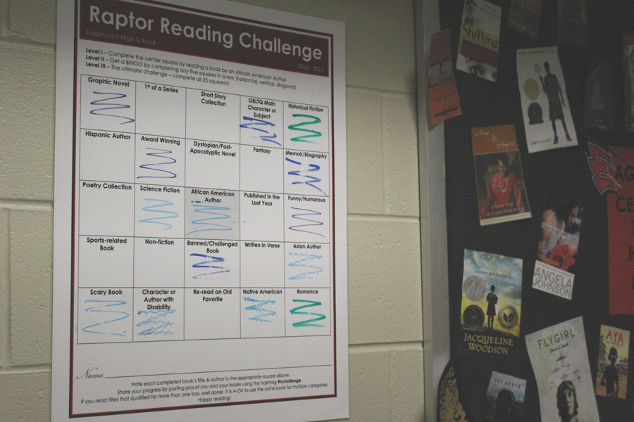 Raptor Reading Challenge Bingo Board