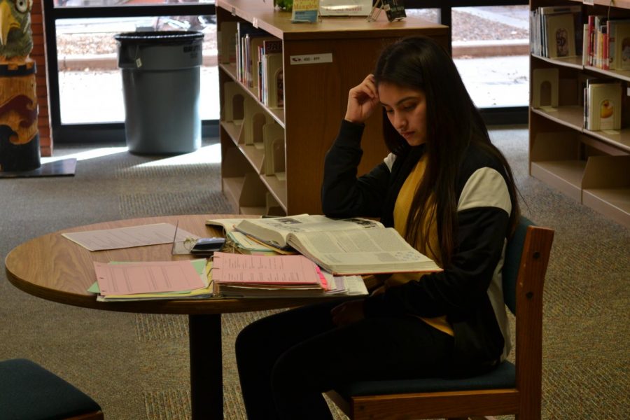 Study Hard: Student Ivonne Vazquez working hard on her studies and getting ready for finals. 