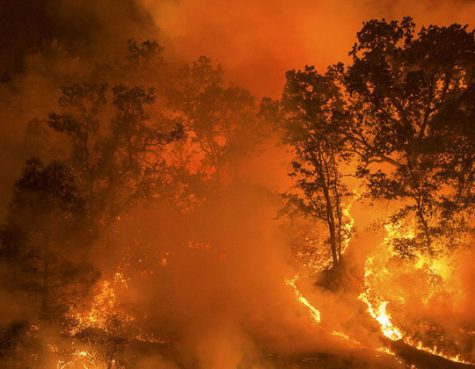 Record-Breaking Wildfires Ravage Colorado