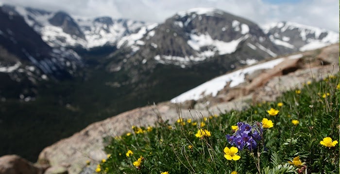 My Top 5 Best Hikes in Colorado
