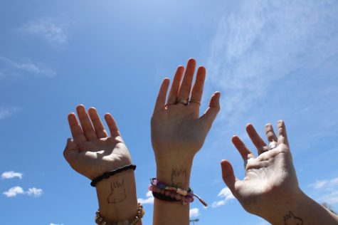 A recreation of the records, album cover. The group has tattoos of teeth on their hand to recognize their song Bite the Hand, that was featured on their self title EP.